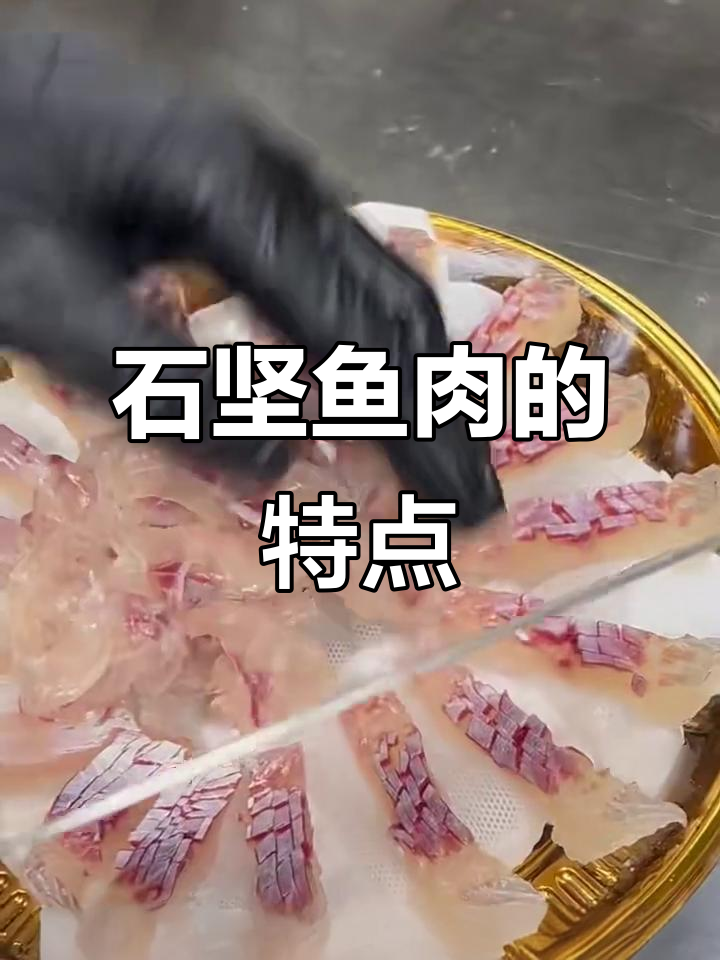 每天了解一种鱼生:石坚鱼的独特魅力