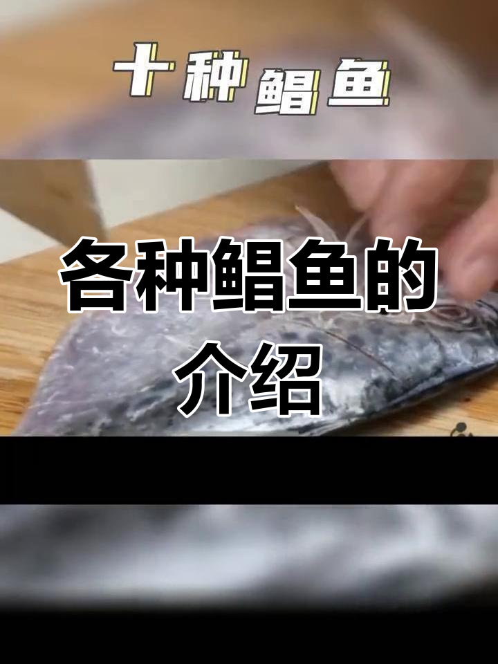 鲳鱼种类大揭秘:从银昌到雪花昌