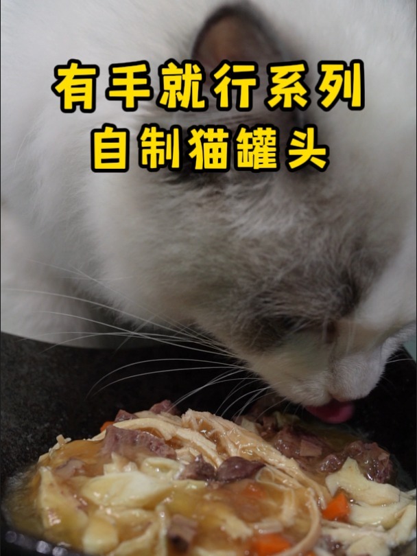 有手就行系列——自制猫罐头