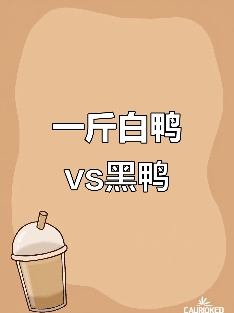 连城白鸭与莆田黑鸭:一斤规格的对比