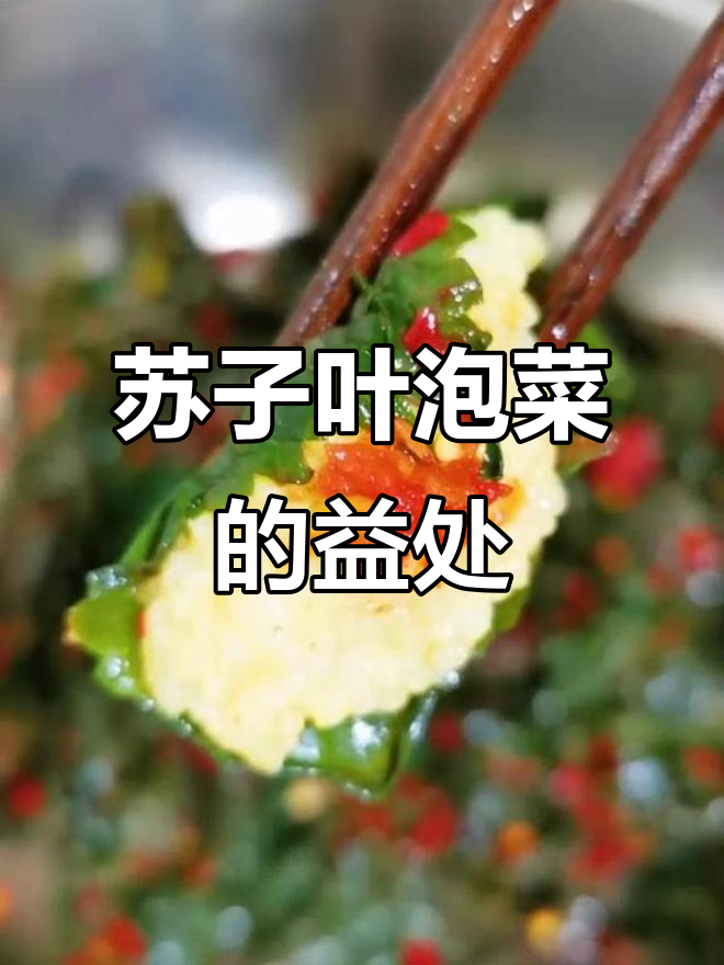 苏子叶泡菜:暖胃润肠,化痰止咳的神奇功效