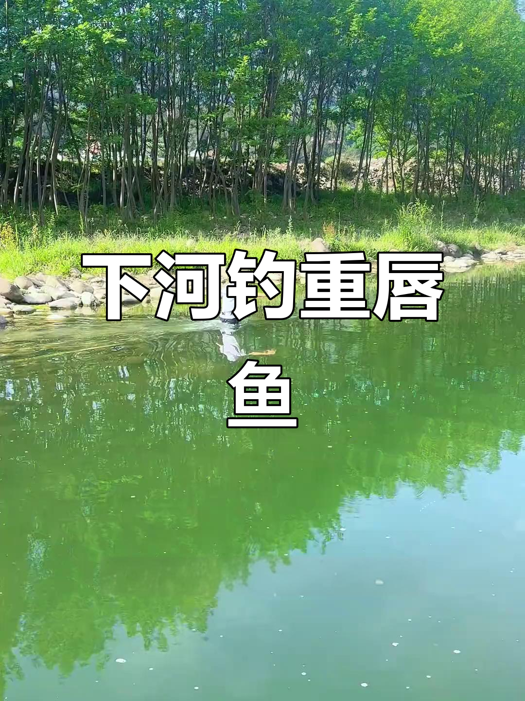 一天十几次下河捞杆子,重唇鱼狂躁不已!