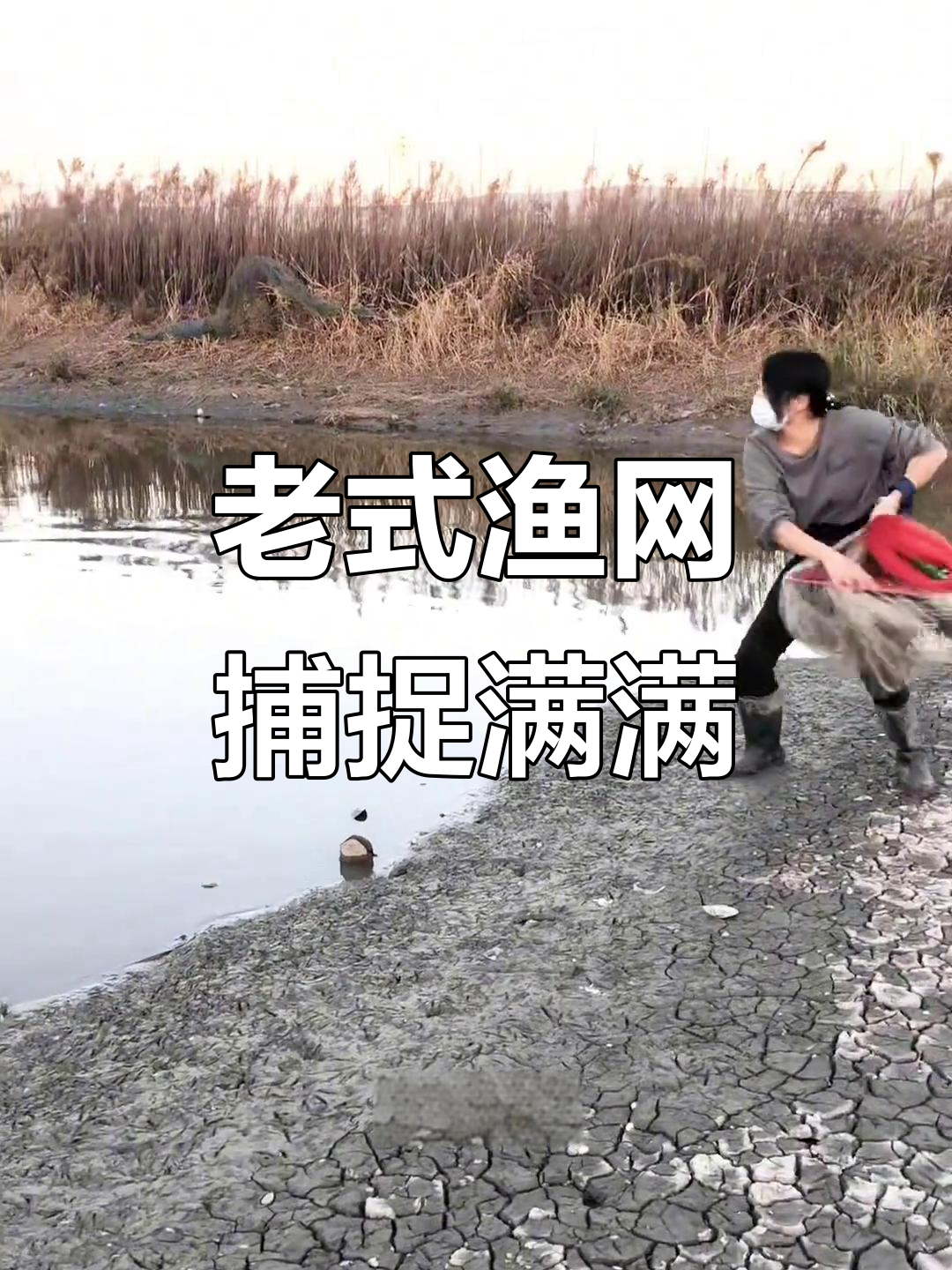 传统捕鱼网大显神威,鲫鲤黑草样样抓