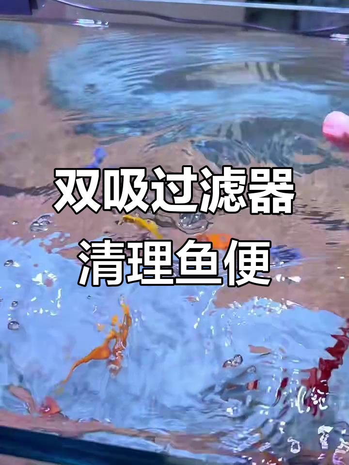 鱼缸底部杂质轻松去除,双吸过滤系统让水质更清新