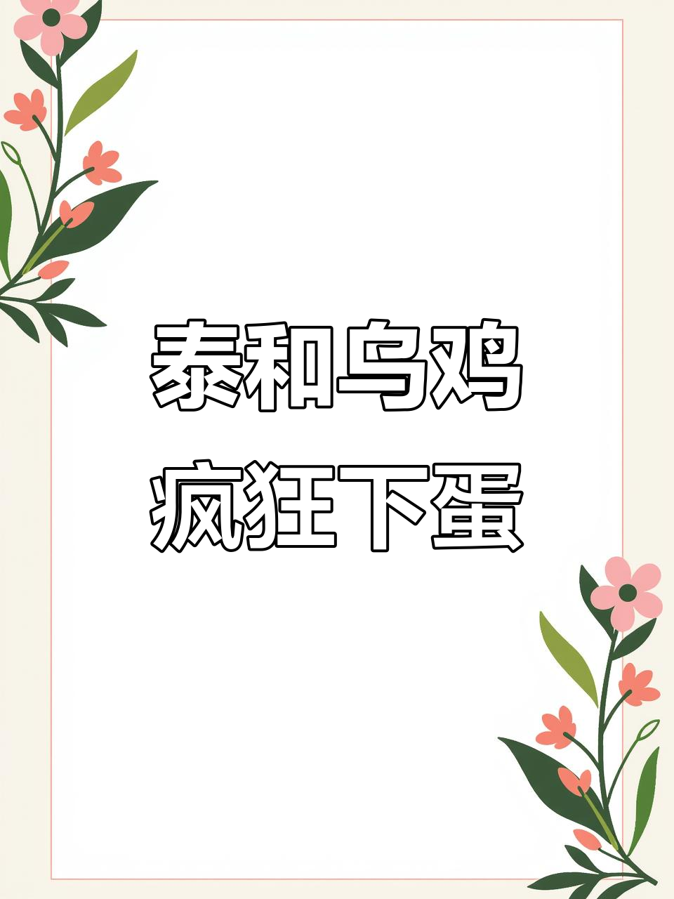 泰和乌鸡爆窝,每天下蛋不停歇,双黄蛋惊喜连连