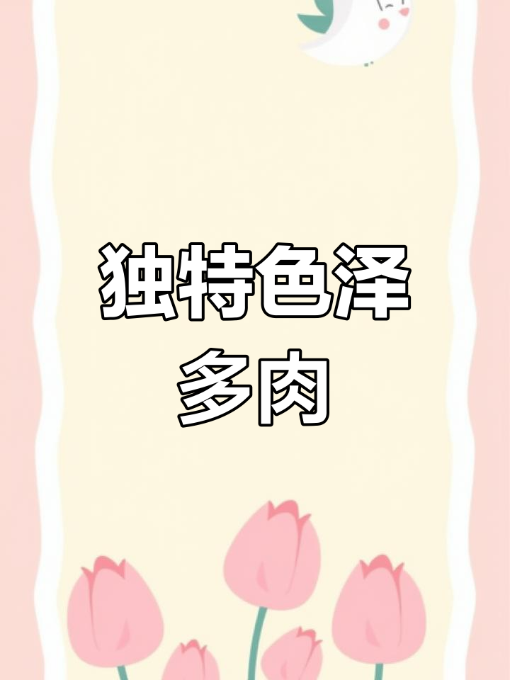 特玉莲,独特造型的多肉植物,花语寓意独一无二