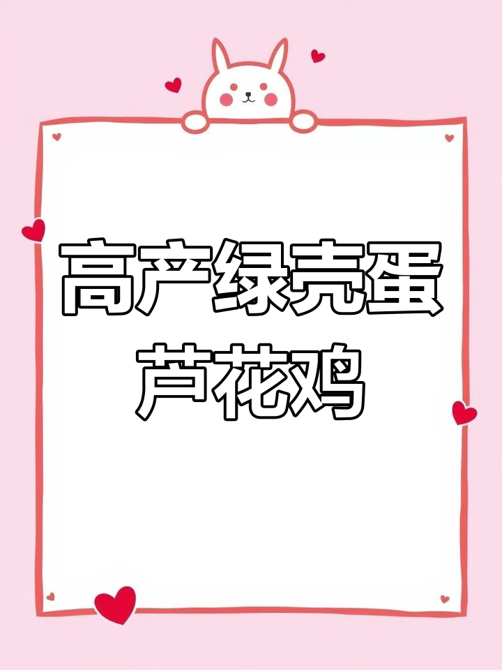 芦花鸡:蛋肉兼备,绿壳鸡蛋营养高