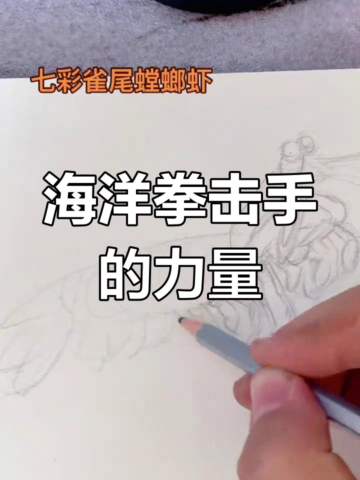 雀尾螳螂虾的致命一击,二十年磨一拳
