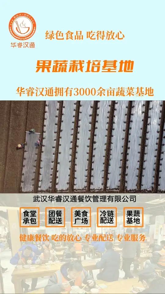 武汉华睿汉通3000亩果蔬栽培基地航拍