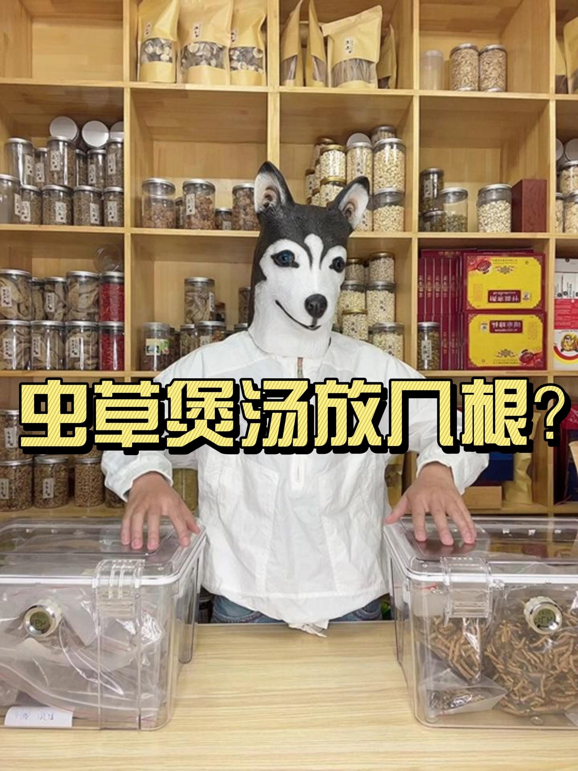 虫草煲汤放几根?