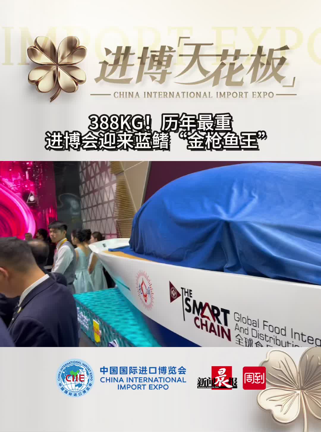 388千克!进博会迎来蓝鳍“金枪鱼王”,重量为历届之最
