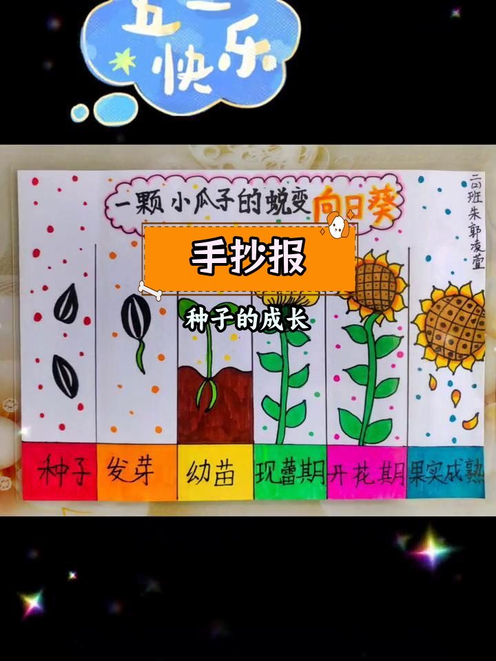 植物种子发芽生长过程手抄报绘画