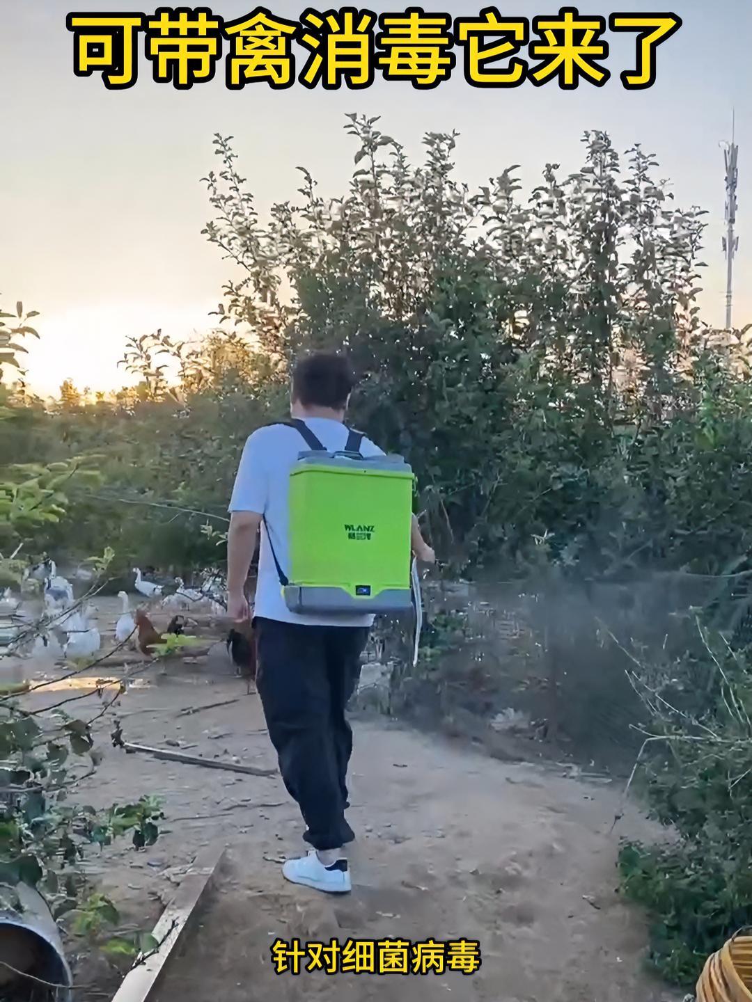 鸡舍为什么要定期消毒?用什么消毒效果好?一学就会的好方法 养殖小妙招 养殖场 三农 养鸡人