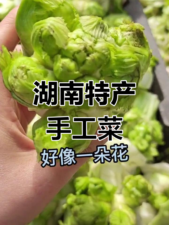 儿菜与坨菜的独特风味,凉拌鲜新都爱