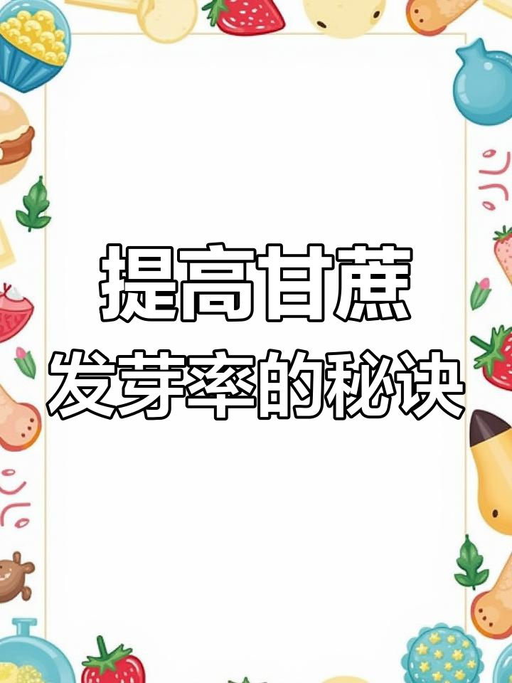 甘蔗种植技巧:北方如何提高出芽率