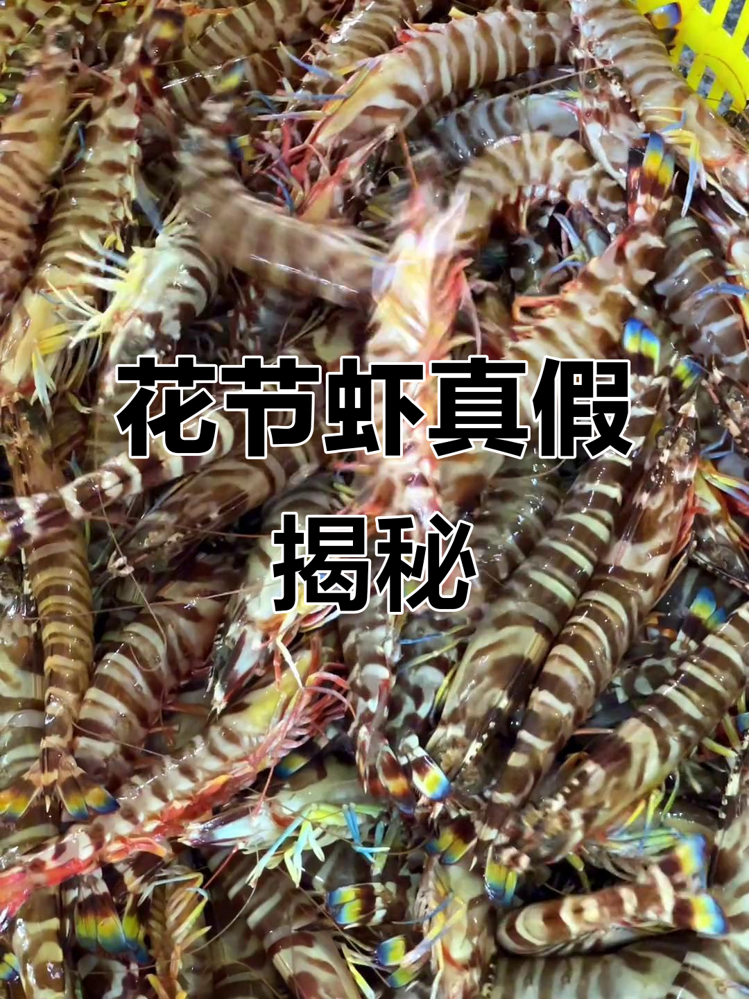 有人质疑花节虾非野生,抖音上大家怎么看?