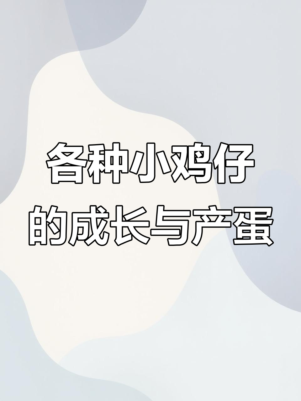 小鸡仔成长记：从土鸡到乌鸡，生蛋时间大揭秘