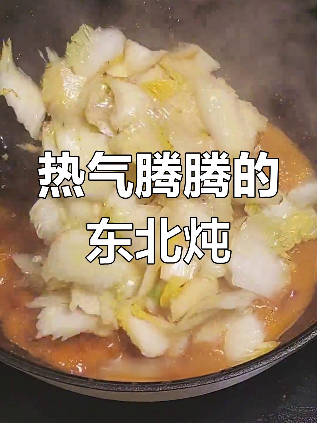 东北家常炖菜,白菜干豆腐搭配米饭