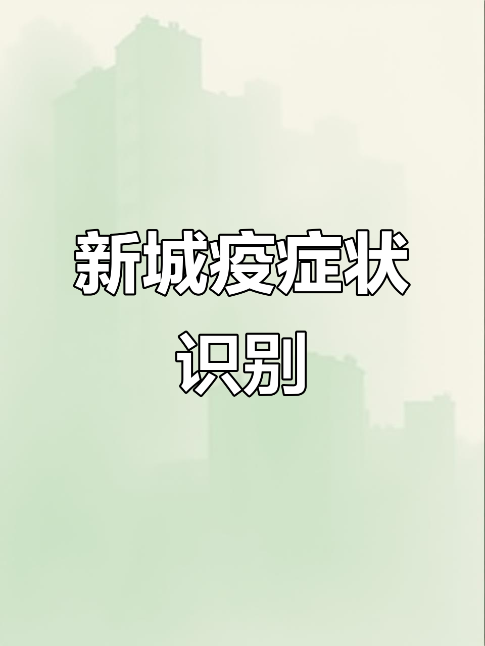 新城疫症状解析:如何判断鸡是否感染