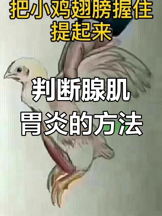 如何快速识别腺肌胃炎症状