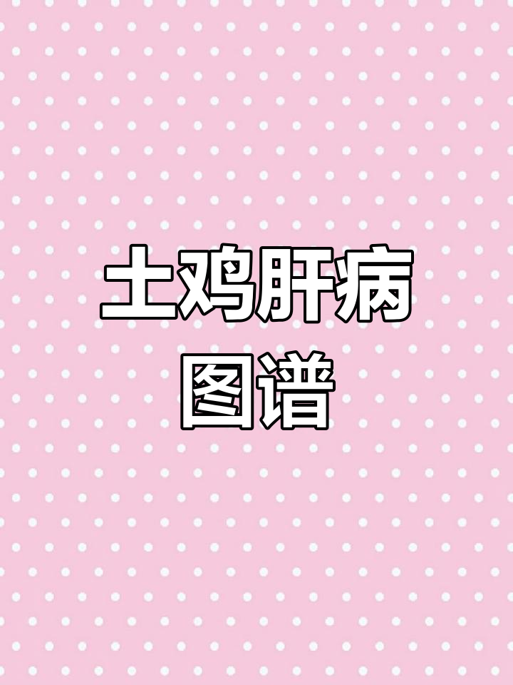 农村散养土鸡肝脏病变图谱,帮你快速诊断问题