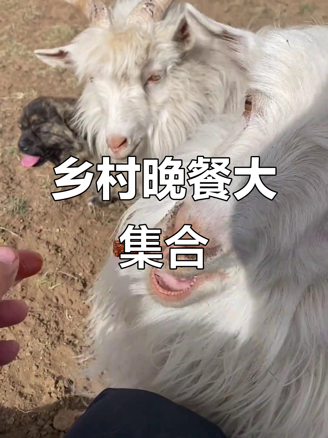 乡村晚餐:辣条、鸭脖、花卷和小葱,开胃又过瘾