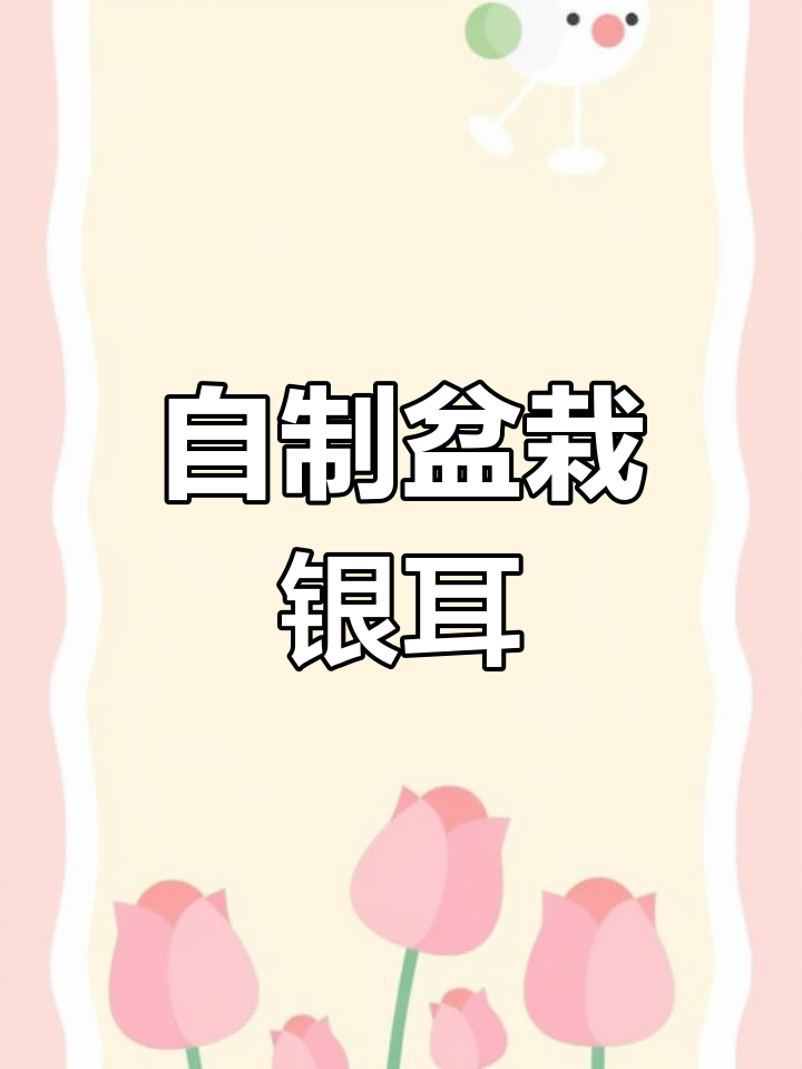 盆栽银耳,DIY与美食兼得