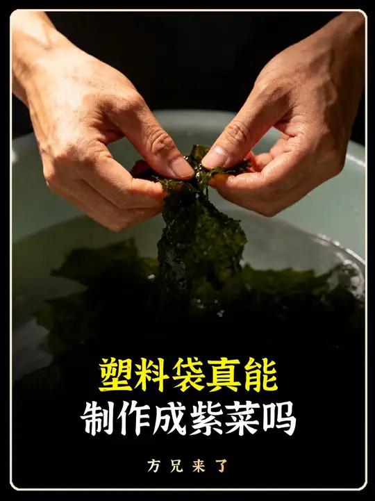 撕不破嚼不烂的紫菜是什么做的?科普 涨知识