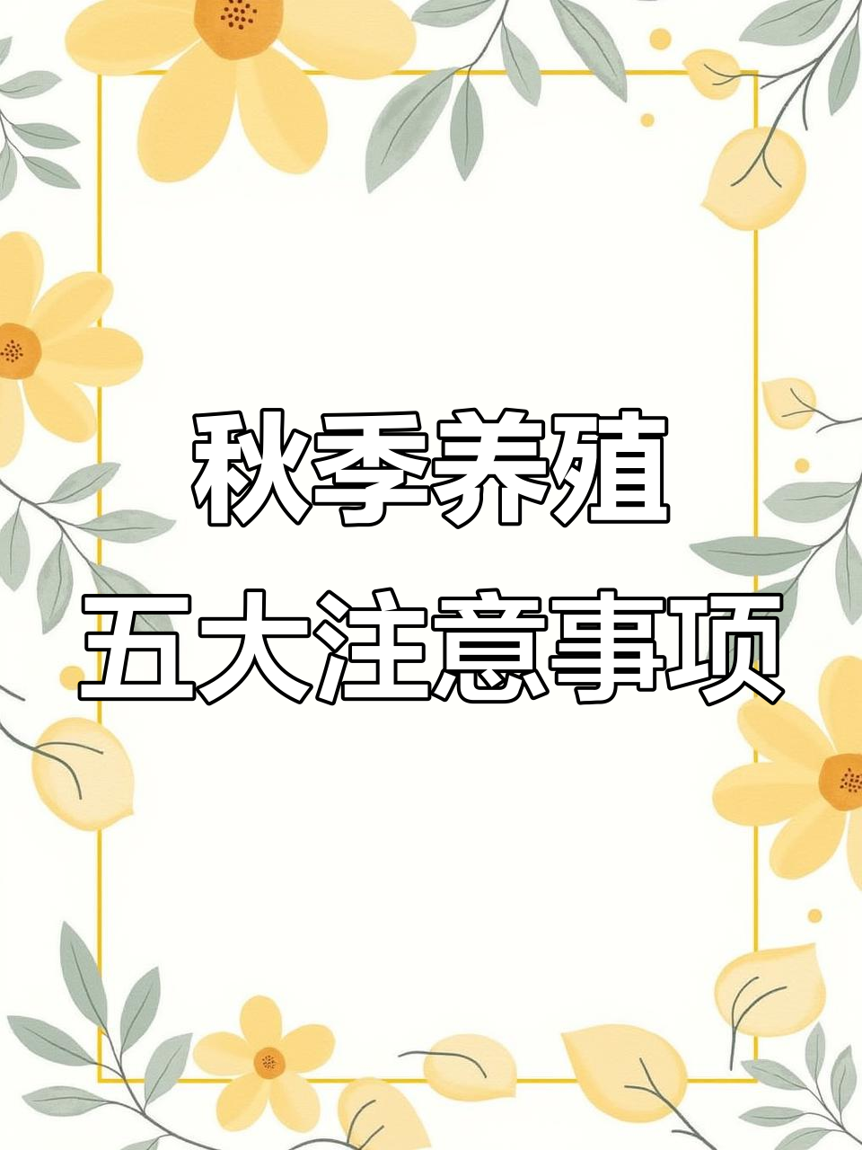 秋季养鸡鸭鹅必知五点,避免常见问题