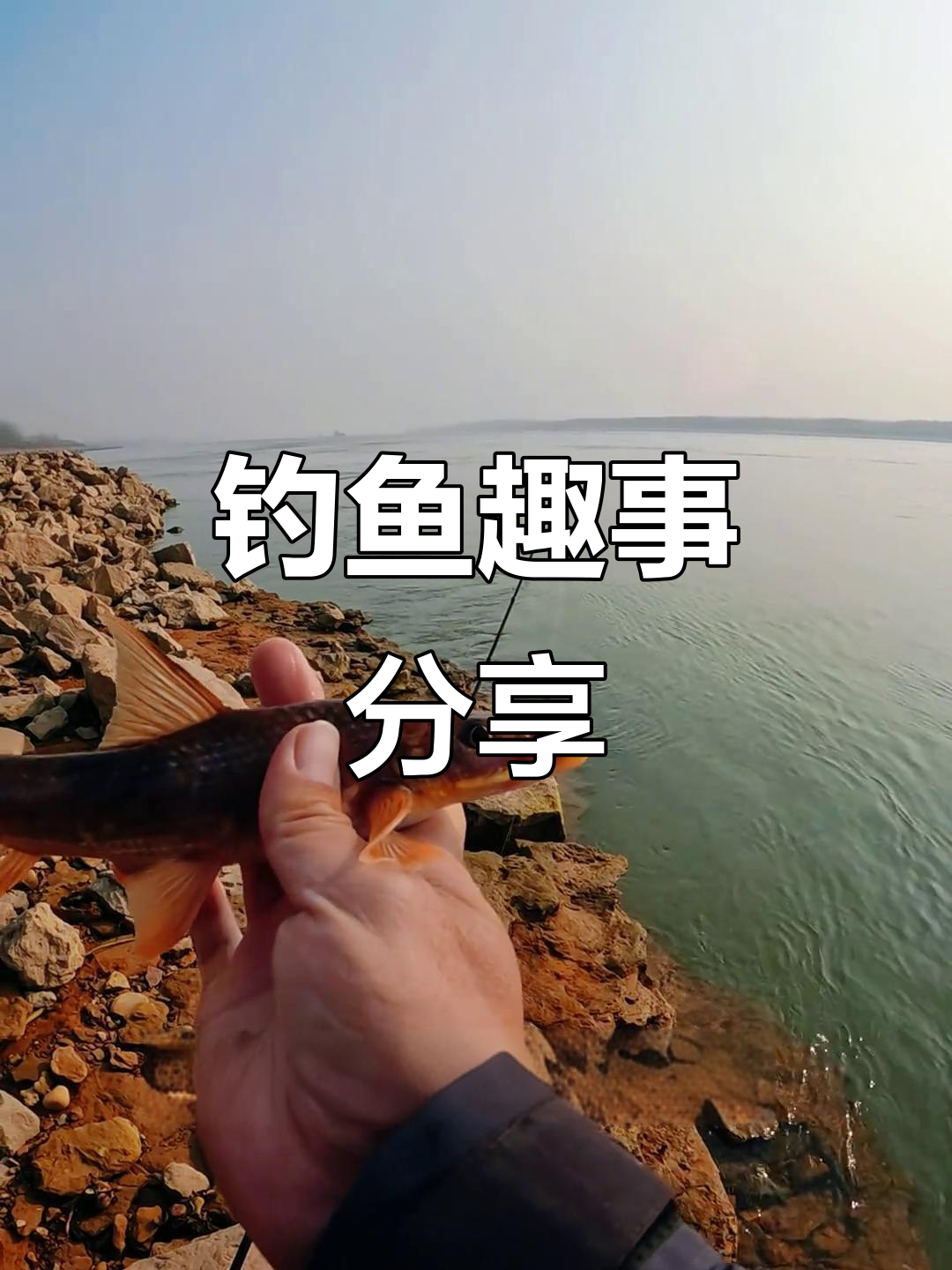 钓过这条鱼吗?最大有多重?分享你的钓鱼经历吧!