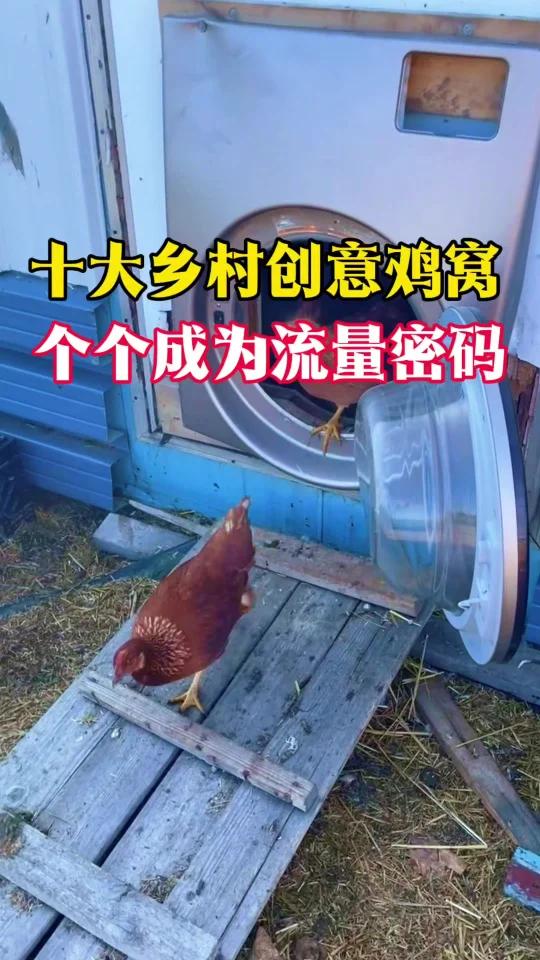 十大乡村创意鸡窝,个个成为流量密码