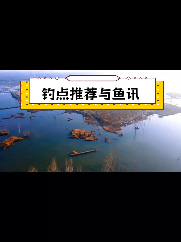 漳河湖心岛钓鱼攻略,2024年第二期分享