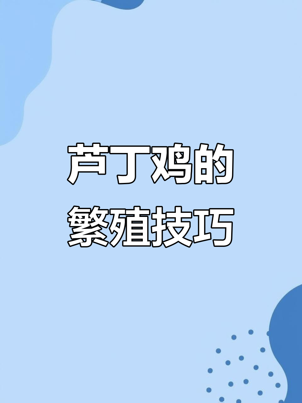 芦丁鸡交配与孵化全过程揭秘,母鸡如何孵蛋?