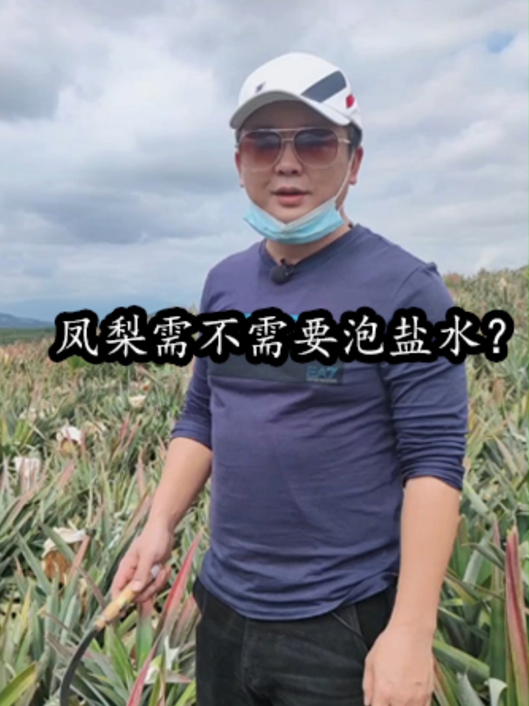 凤梨需不需要泡盐水?