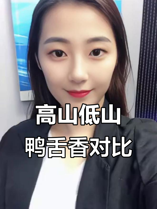 鸭舌香:高山与低山的香气差异,你了解吗?