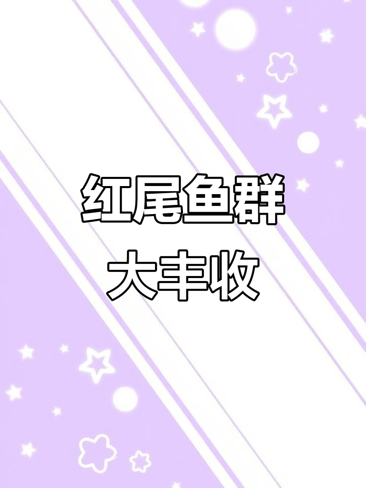 阴雨天钓红尾鱼群,VIB小跳轻松捕捉十几条