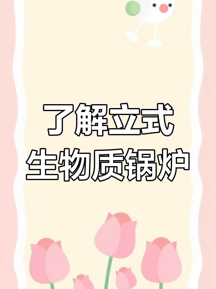 立式生物质锅炉全解析,环保高效取暖新选择