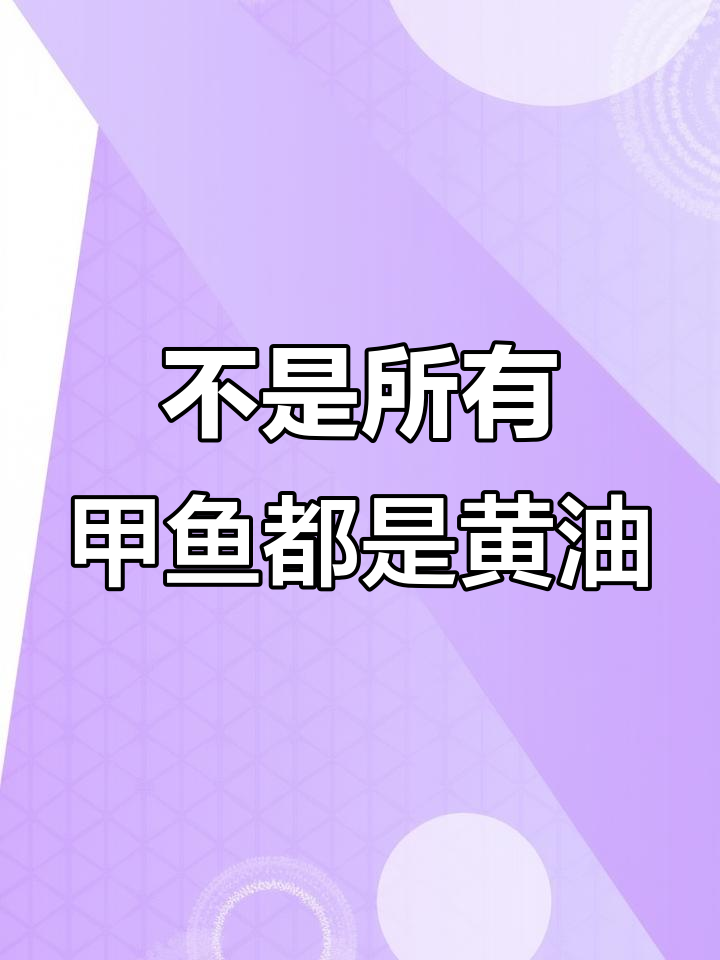 黄油甲鱼真能省油?别只看表面,质量才是关键