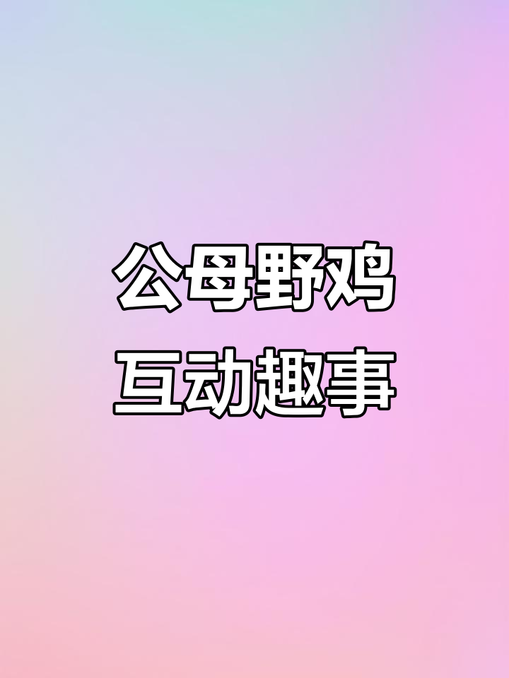 母野鸡发情叫声引公鸡快速回应，惊飞尖叫让人忍俊不禁