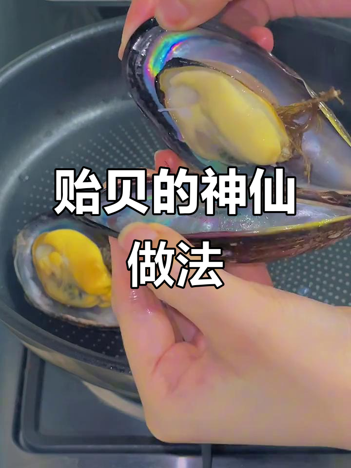 一米八鲜活贻贝的两种神仙吃法，咖喱浓汁与清蒸蒜蓉任你选