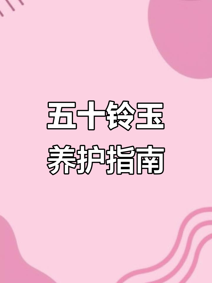 五十铃玉：从南非到你的家，了解这种多肉植物的养护技巧