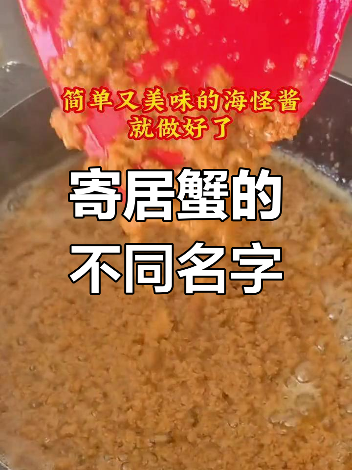 寄居蟹的各地称呼,大连叫虾怪,威海称海怪