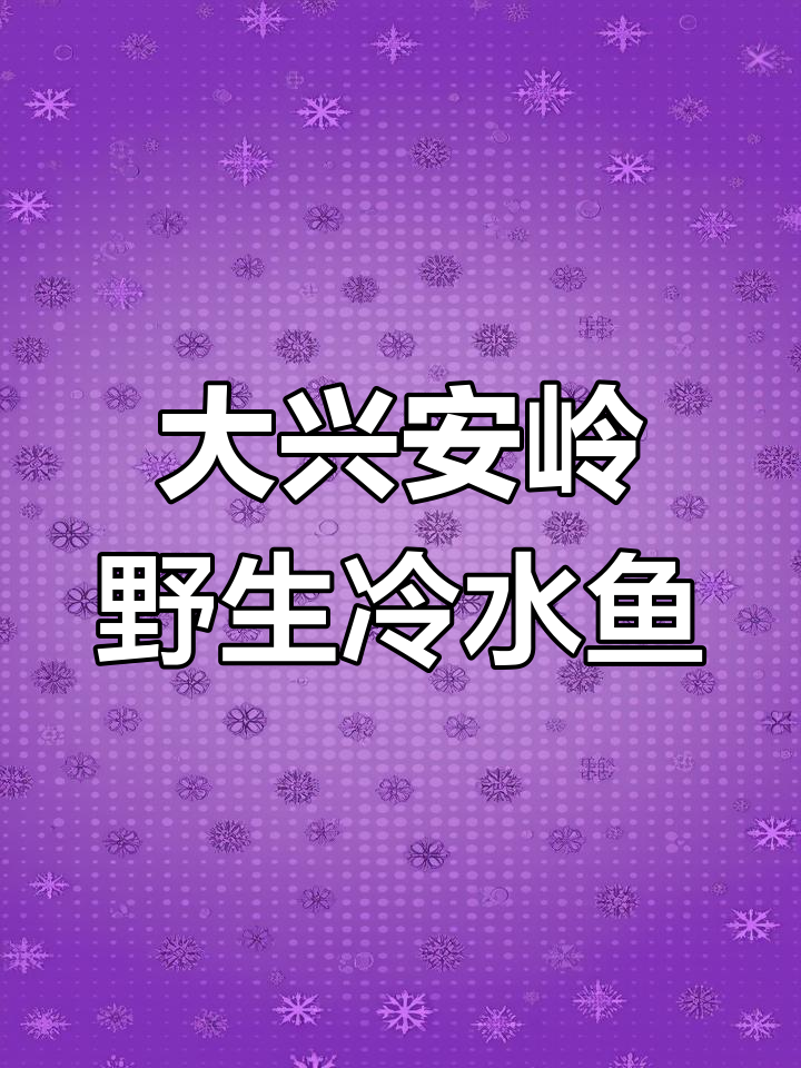 大兴安岭野生冷水鱼大揭秘,这些你尝过吗?