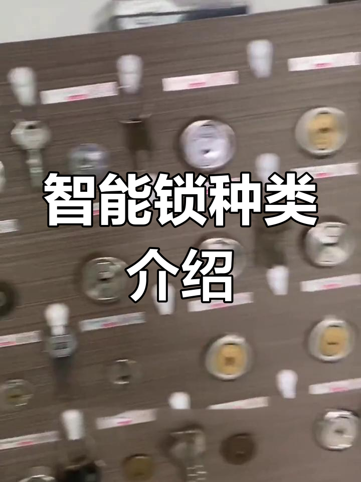 多种防盗门锁类型解析