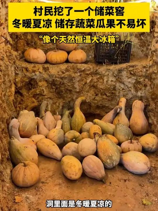 村民挖了一个储菜窖 冬暖夏凉 储存蔬菜瓜果不易坏 “像个天然恒温大冰箱” 农村生活 地窖 