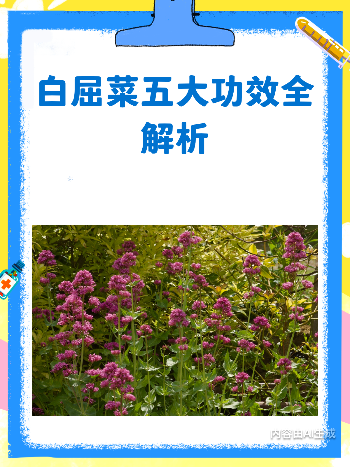 白屈菜的5大功效,全解析!