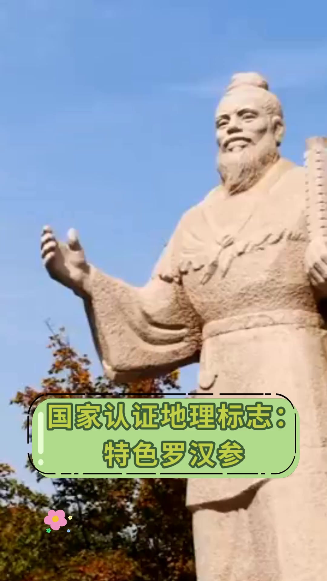 国家认证地理标志:特色罗汉参