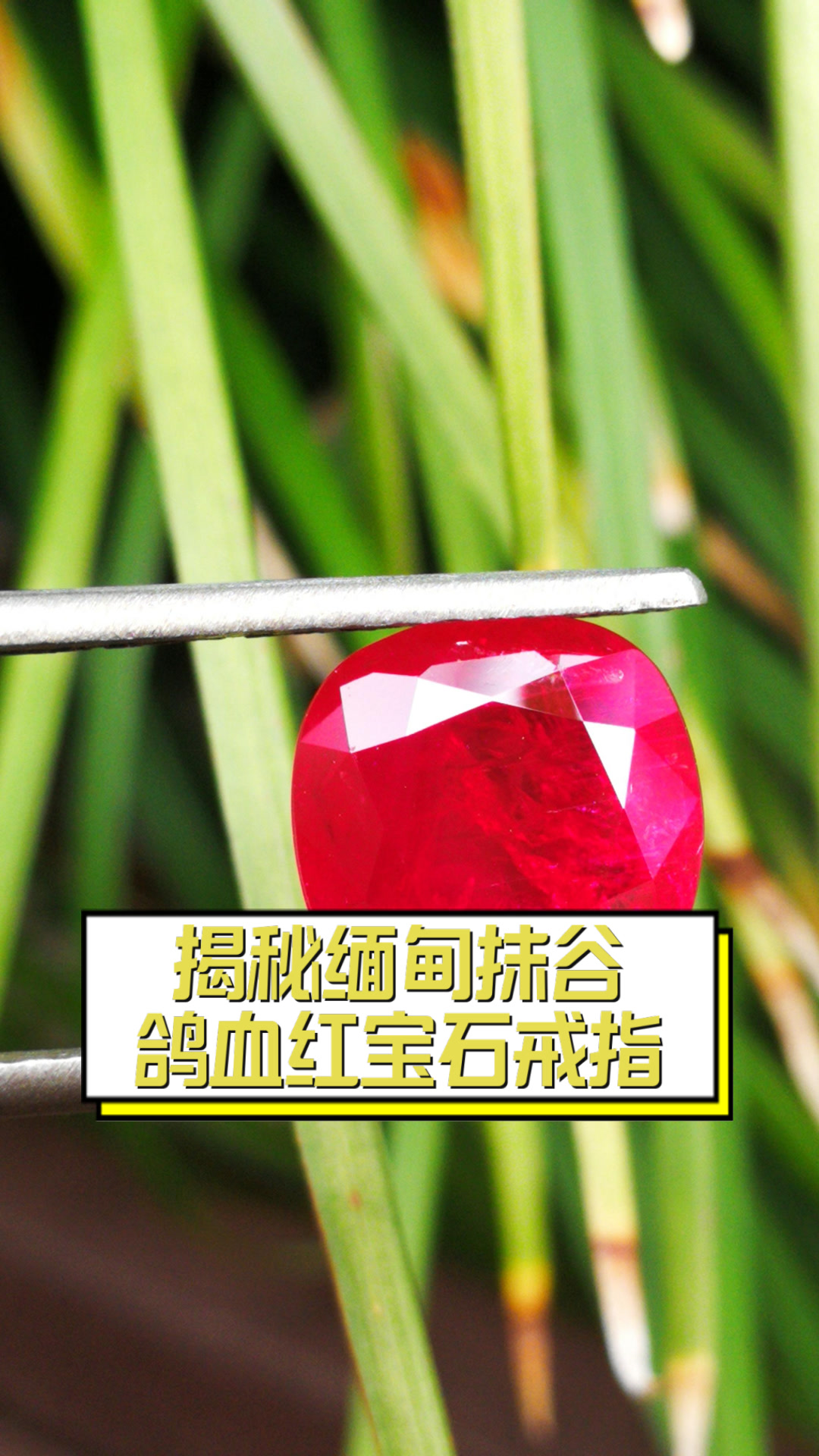 揭秘缅甸抹谷鸽血红宝石戒指