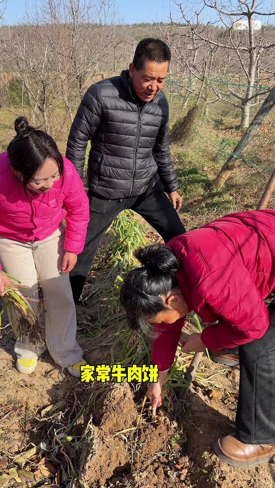 在家自制外酥里嫩牛肉饼的家常做法分享
