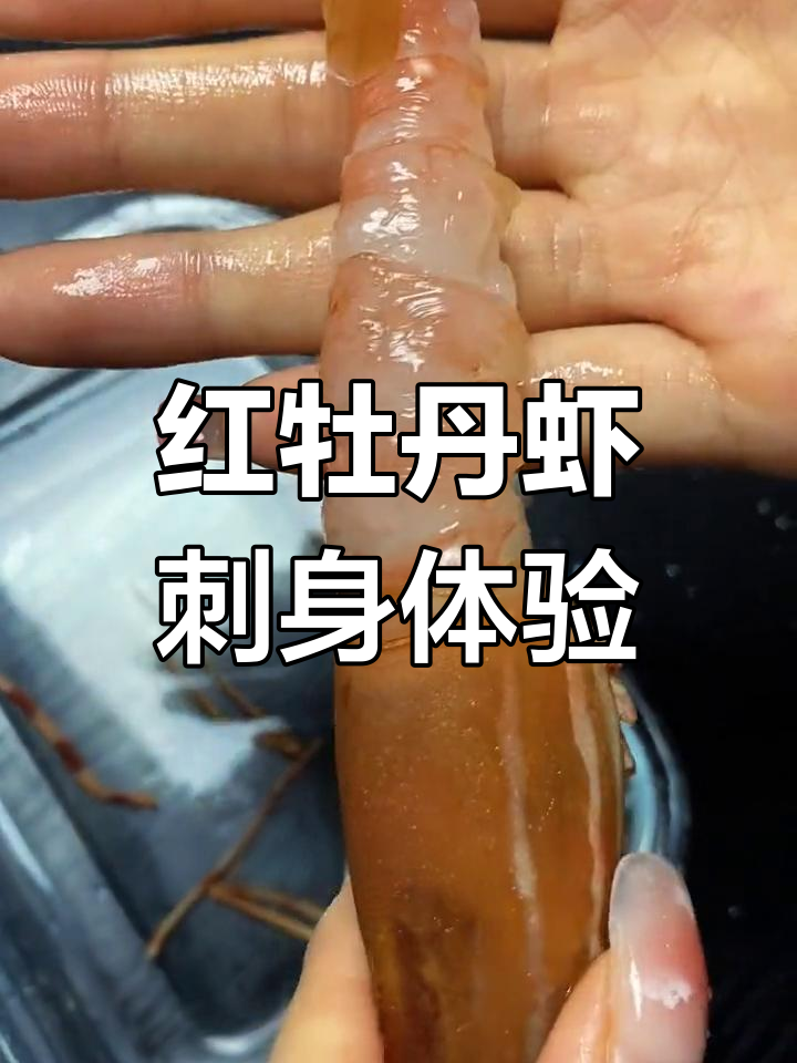 加拿大红牡丹虾刺身:鲜甜无腥,肉质如雪